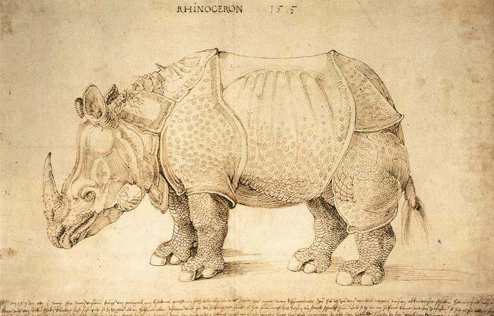 Albrecht Durer Rhinoceros china oil painting image
